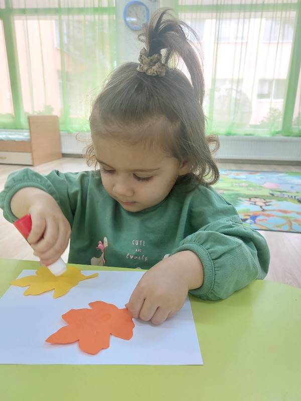 aplikiram-2