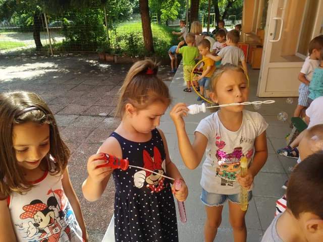 cvetove-19