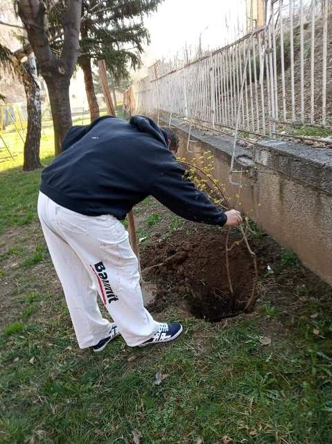blagovec1-3