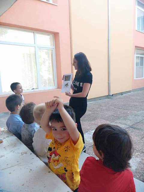 nasekomi-13