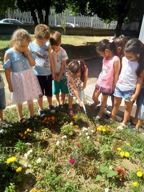cvete-11