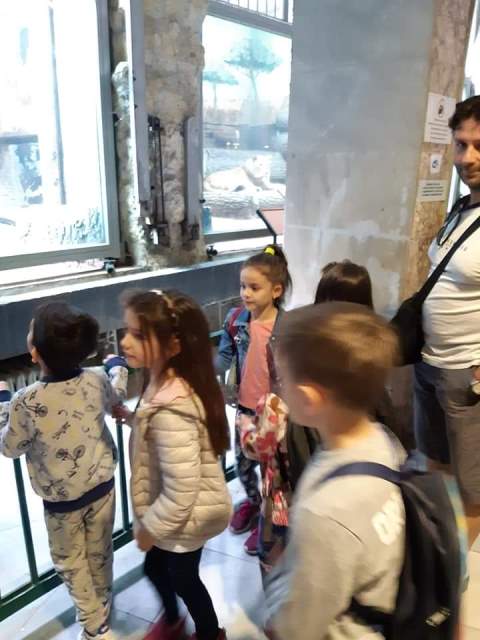 zoo-05