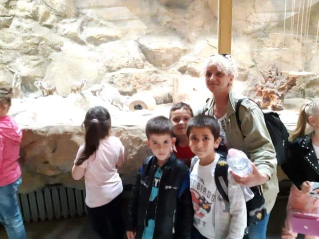 zoo-07