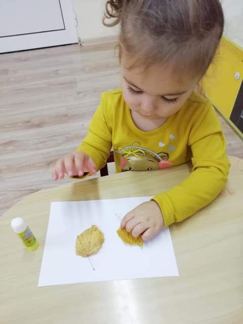 aplikacia-2