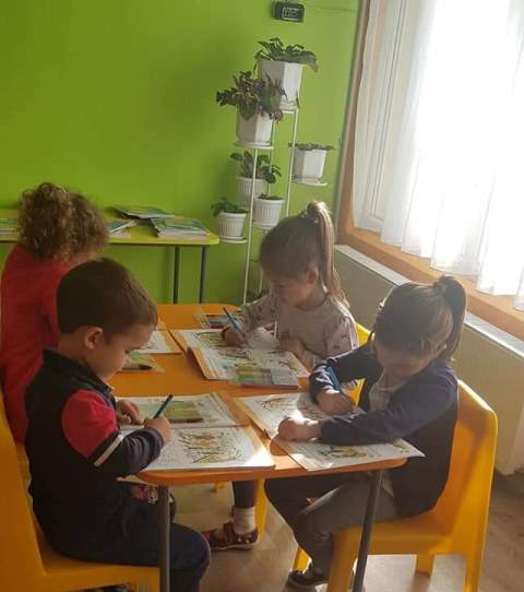gradina-10