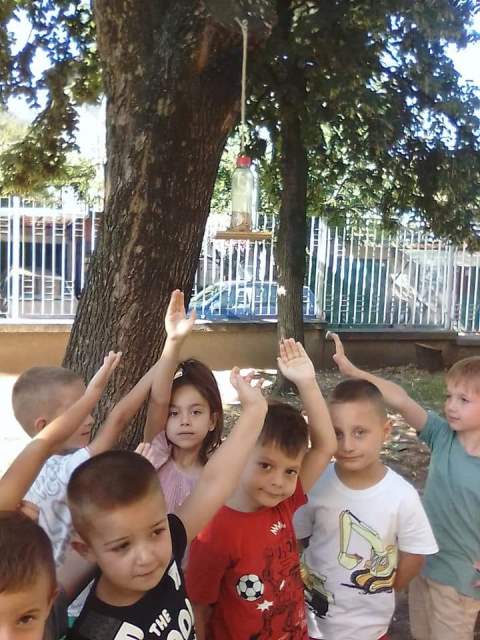 hranilka-07
