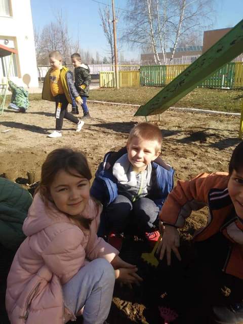 dvor-koki4e-03