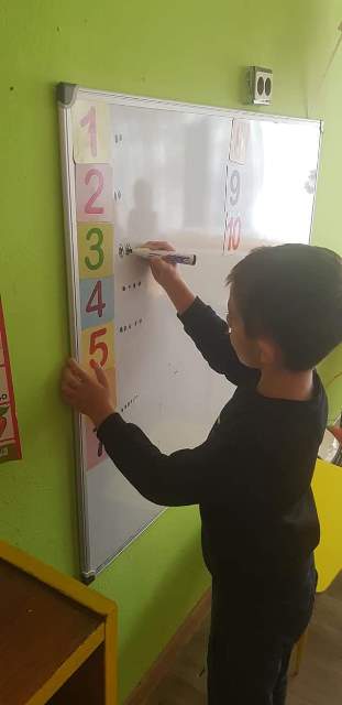 pi6em-15