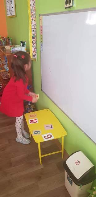 pi6em-20