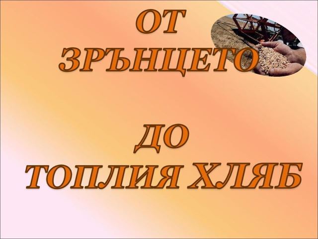 p-hleb-16