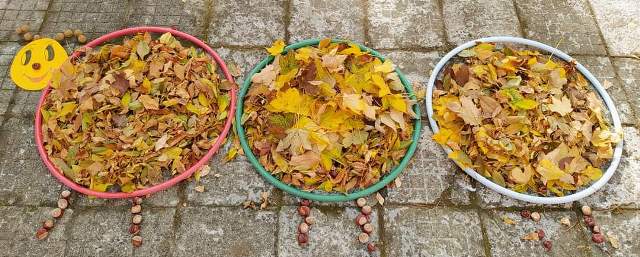 dvor-4