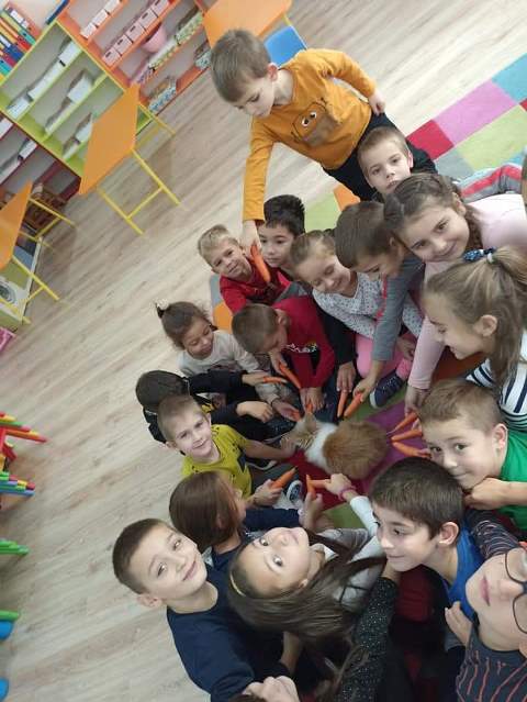 morkov-06