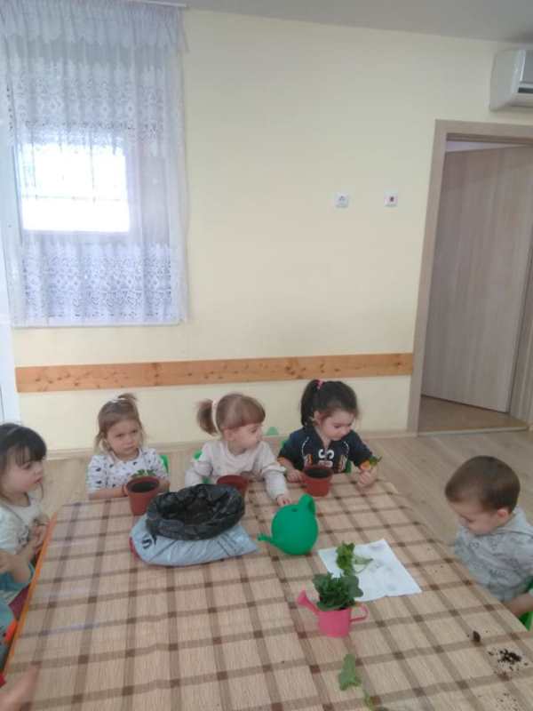 morkov-20