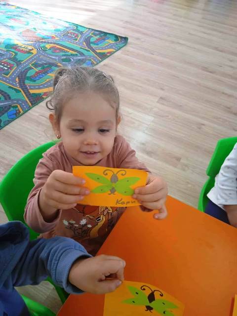 pipi-2