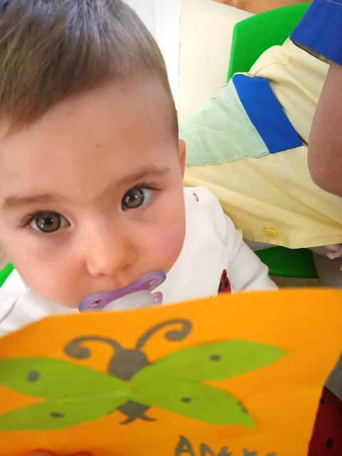 pipi-4