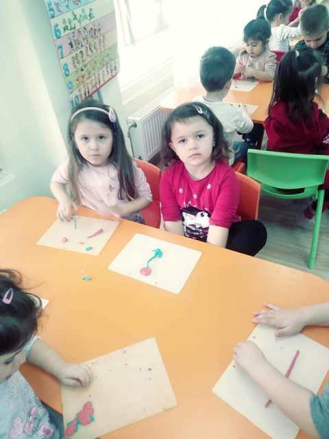 roza-1