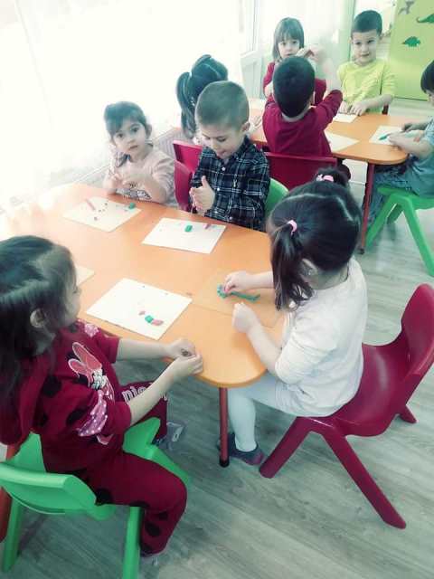roza-2