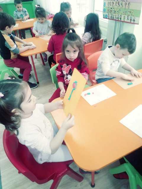 roza-4