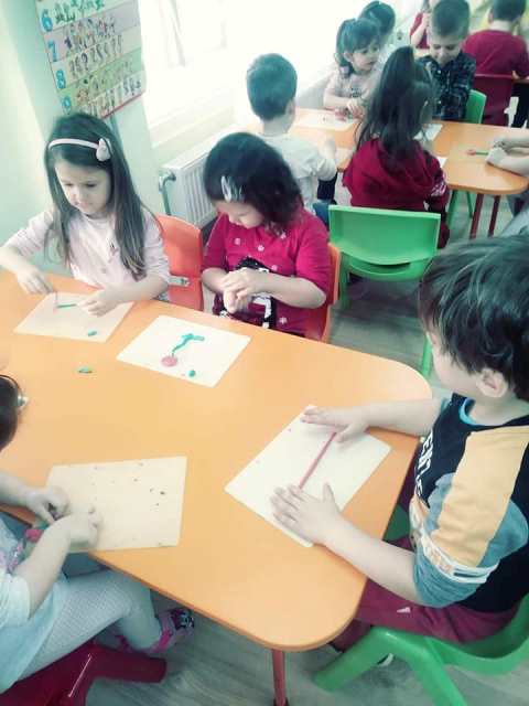 roza-6
