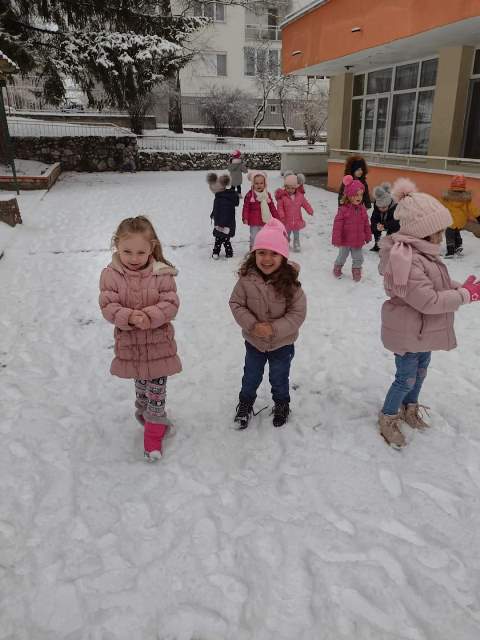 sledi-2