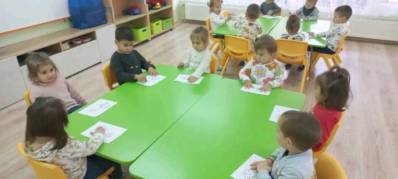 moliv-2