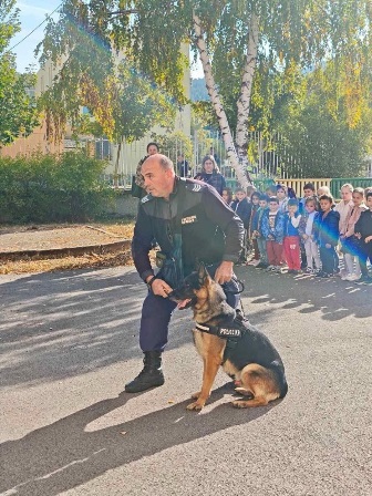 policaj 4
