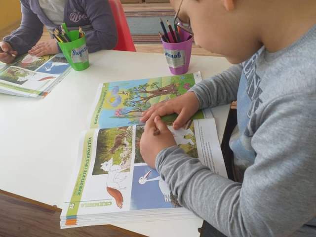 prolet-02
