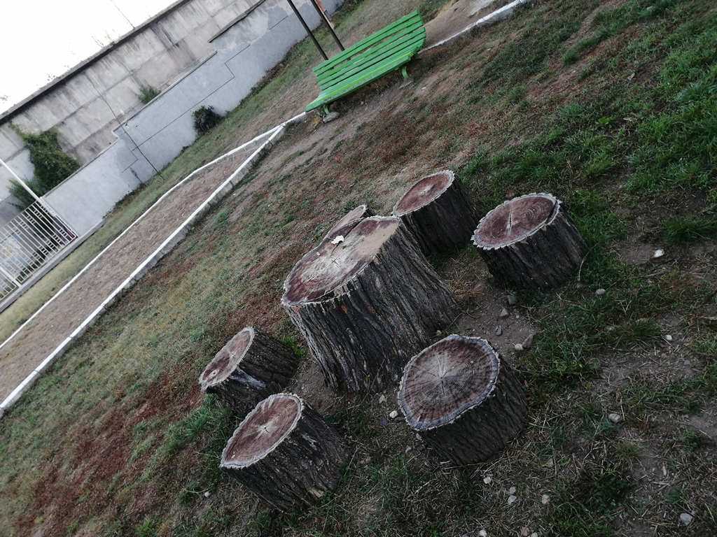 z-dvor-12